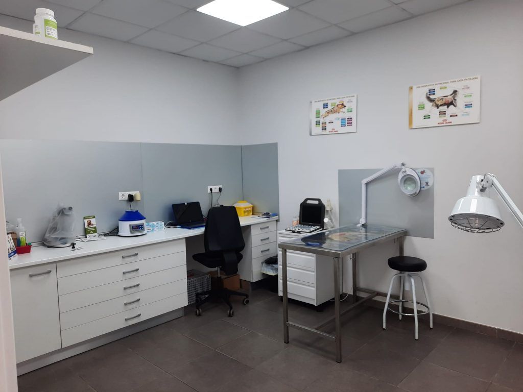 Consultorio veterinario Naturalmascotas