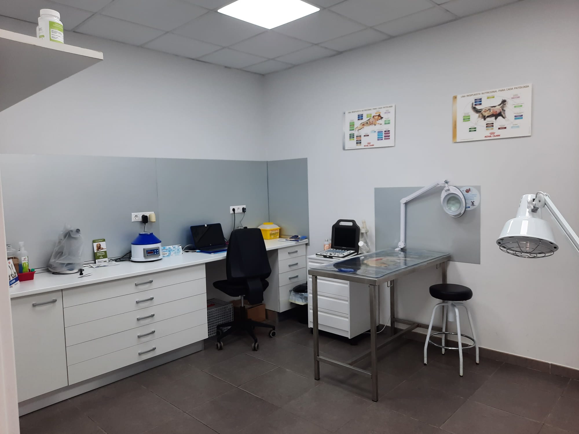 Consultorio veterinario Naturalmascotas