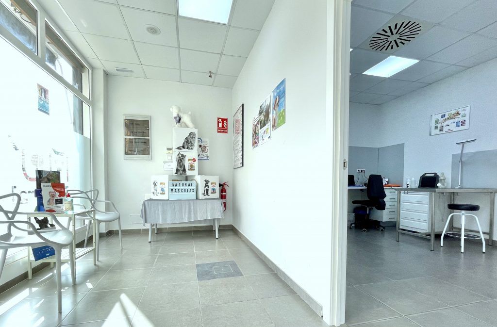 Sala de espera Naturalmascotas